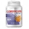 Cordyceps Pulse - хипертония